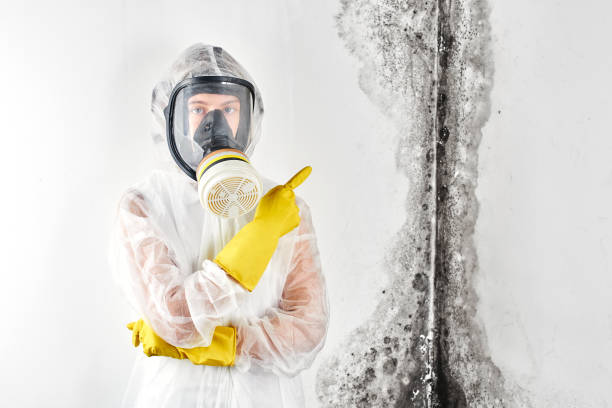 Best Commercial Mold Inspection  in South Russell, OH