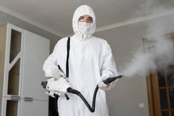 Reliable South Russell, OH Mold Removal & Remediation Solutions